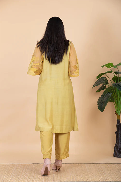 Chambray & Co.'S Kaashvi Applique Vegan Silk Coord Set - Image 4