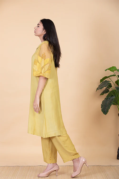 Chambray & Co.'S Kaashvi Applique Vegan Silk Coord Set - Image 5