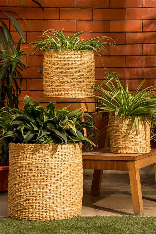 Dharini Kauna Round Planter Natural Extra Large - Image 4