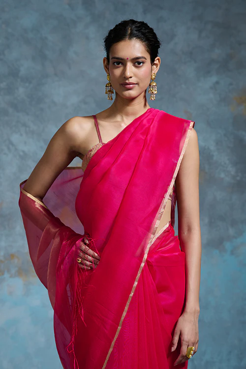 Dressfolk Palasha Organza Saree - Image 2