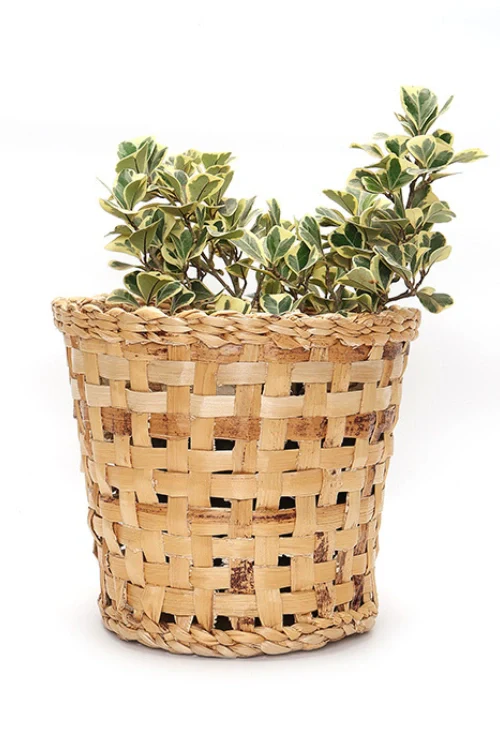 Greenkraft Jodhpur Dunes Planter - Set Of 4 - Image 4
