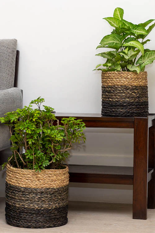 Kadam Haat Handmade Black Eco Planter Set Of 2