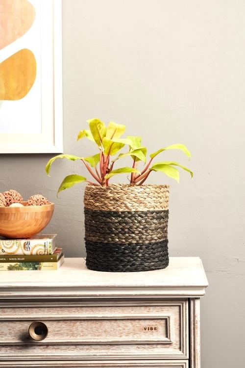 Kadam Haat Handmade Black Eco Planter Set Of 2 - Image 3
