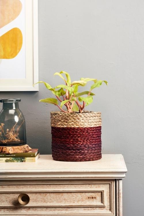 Kadam Haat Handmade Brown Eco Planter Set Of 2 - Image 3