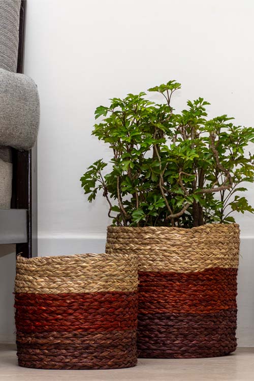 Kadam Haat Handmade Brown Eco Planter Set Of 2 - Image 4