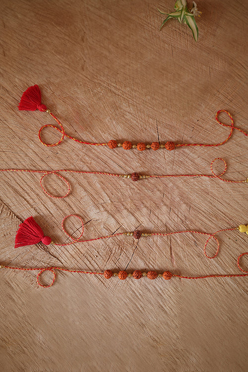 Himalayan Blooms 1Rudraksh 5Rudraksh Rakhi Pack (Set Of - 4) - Image 3