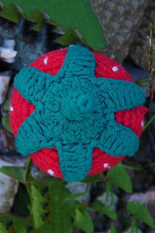 Himalayan Blooms Hand Made Crochet Soft Toys - Strawberry - Image 4
