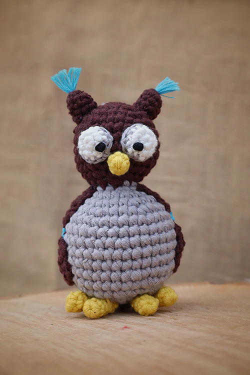 Himalayan Blooms Rakhi,Owl Toys - Image 3
