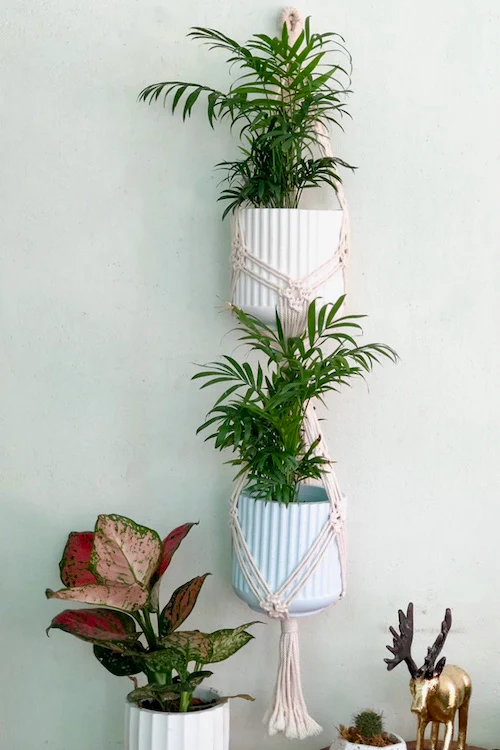 HoM Handcrafted Macrame two-tier Plant Hanger (Variant 1) - Image 4