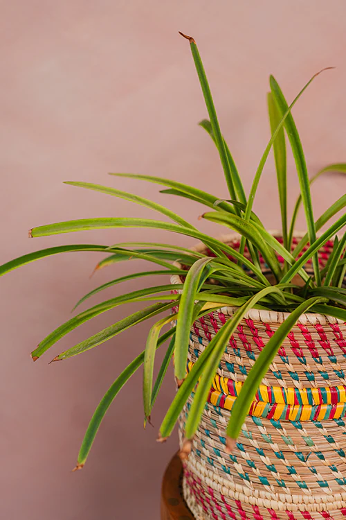 Kraftribe Kanshi Basket Muticoloured - Image 2