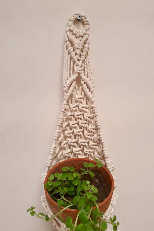 "House of Macrame" Mesh Plant Hanger - Image 5