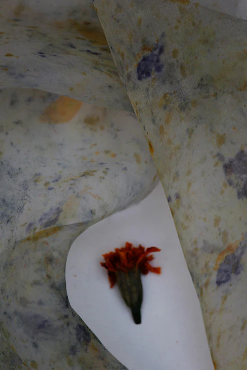 Mulya "Dhoop" Eco Printed Organza Yardage - Image 3