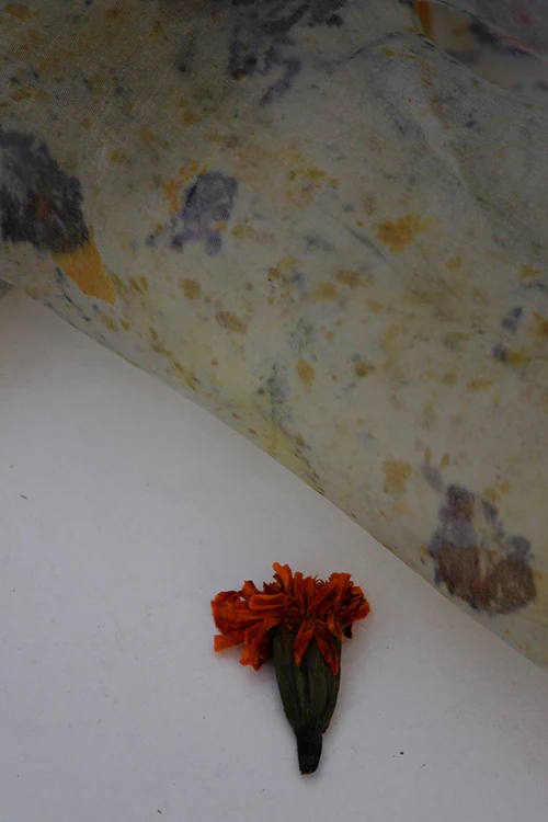 Mulya "Dhoop" Eco Printed Organza Yardage - Image 4