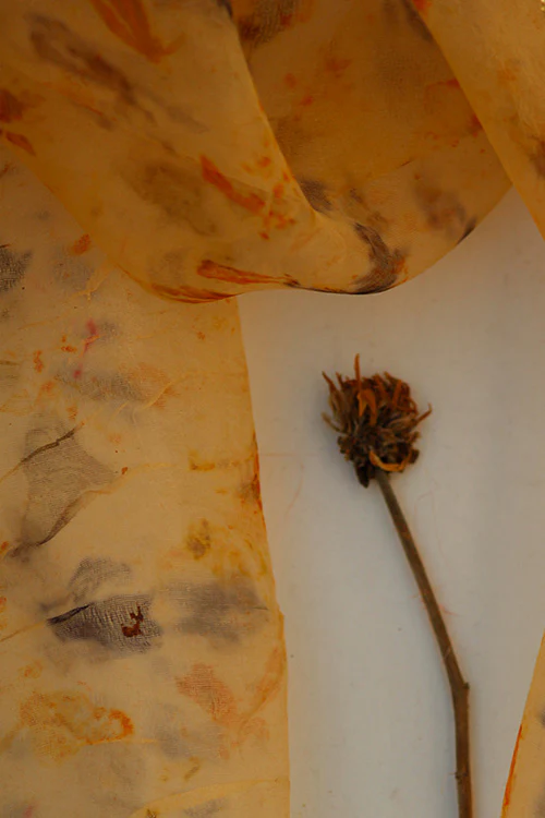Mulya "Ishika" Eco Printed Organza Yardage - Image 4