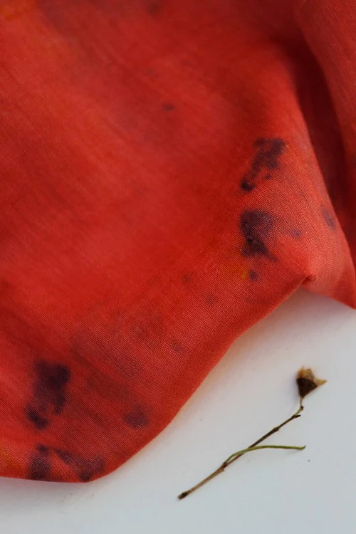 Mulya " MISHRI" Eco Printed Cotton Silk Yardage - Image 4