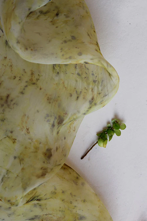 Mulya "Saina" Eco Printed Organza Yardage - Image 4