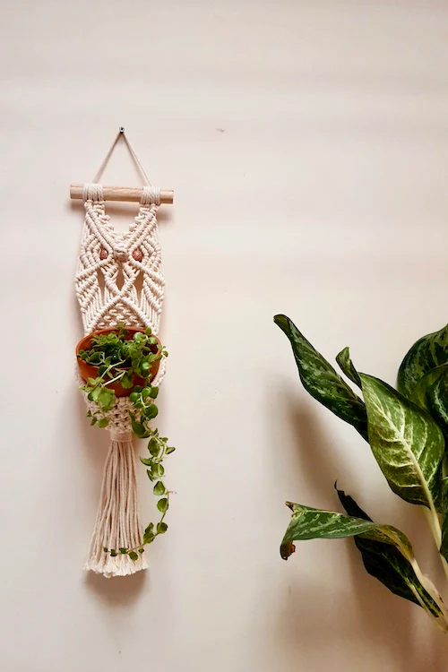 "House of Macrame" Owl Plant Hanger - Image 5