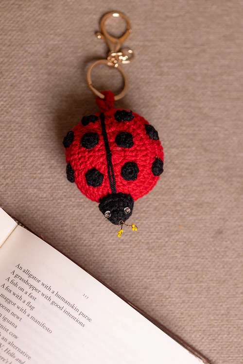 Samoolam Boho Bag Charm Laal Beetle - Image 3