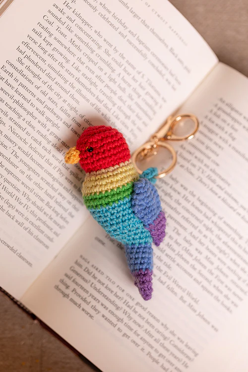 Samoolam Boho Bag Charm Rang Rangeeli Songbird - Image 4