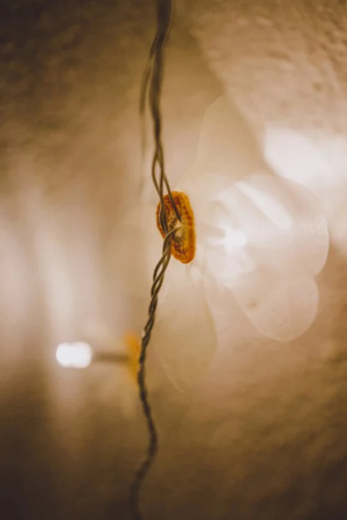 Samoolam Handmade Home Decor LED String Lights - Orange Rose - Image 2