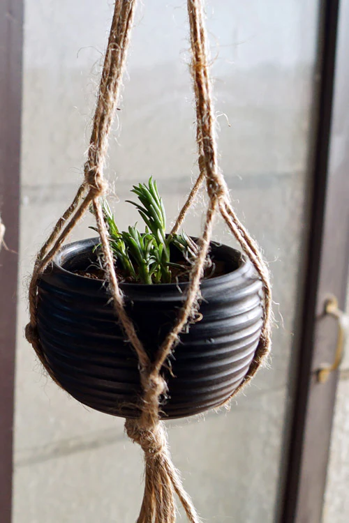 Terracota By Sachii "Hanging Planter Single" - Image 2