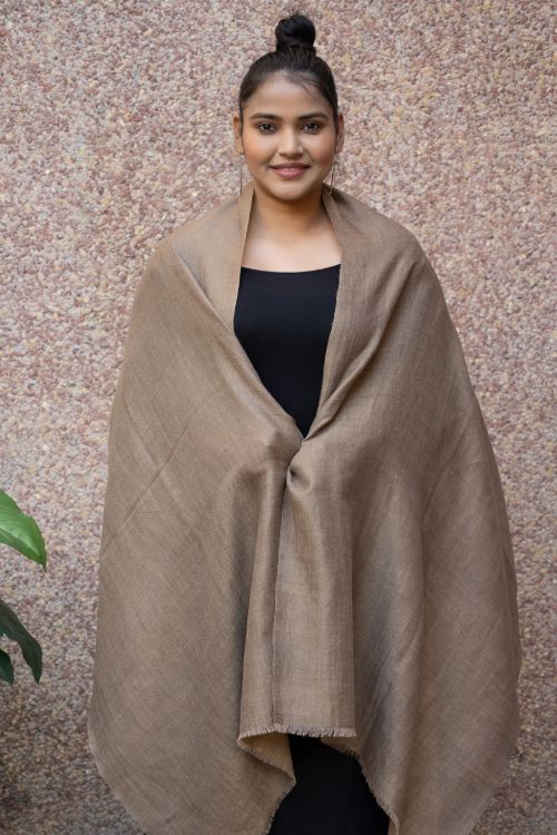 TICH Exclusive Pure Pashmina Wool & Zari Reversible Kashmiri Stole - Pale Brown & Gold - Image 3