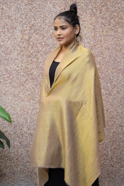 TICH Exclusive Pure Pashmina Wool & Zari Reversible Kashmiri Stole - Pale Brown & Gold - Image 5
