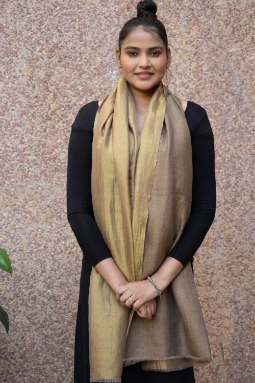 TICH Exclusive Pure Pashmina Wool & Zari Reversible Kashmiri Stole - Pale Brown & Gold - Image 7