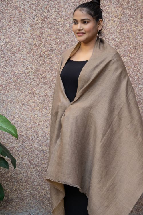 TICH Exclusive Pure Pashmina Wool & Zari Reversible Kashmiri Stole - Pale Brown & Gold - Image 9